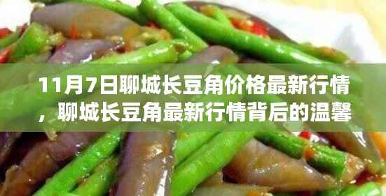 聊城长豆角最新行情背后的故事,价格动态与日常温情回顾