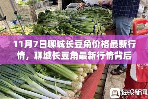 聊城长豆角最新行情背后的故事,价格动态与日常温情回顾