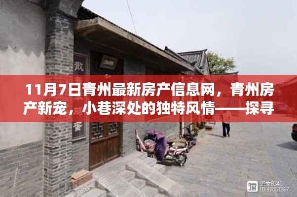 探寻青州房产新宠,11月7日最新房产信息与小巷深处的独特风情