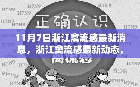浙江禽流感最新动态揭秘,11月7日最新消息更新