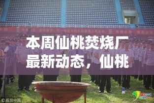 仙桃焚烧厂最新动态揭秘，本周运营更新与参与监督指南