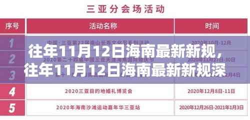 海南新规深度解析,特性、体验、对比与用户群体分析