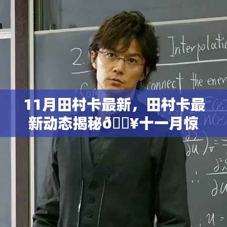 揭秘田村卡最新动态,十一月惊喜连连看