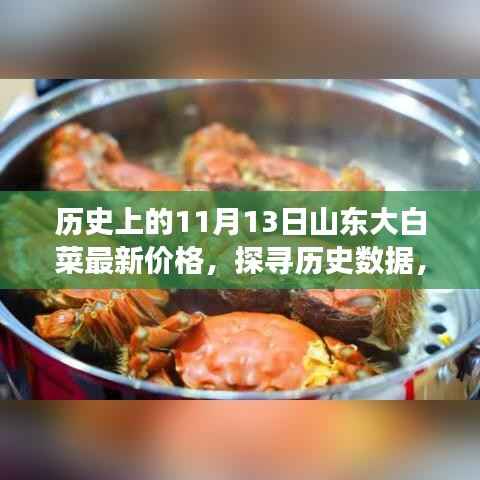 揭秘山东大白菜历史价格走势，最新价格查询与解读指南——探寻历史数据背后的秘密！