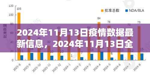 全球疫情最新动态，2024年11月13日数据更新与观点探析