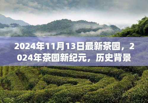 2024年茶园新纪元,历史背景、重大事件与深远影响的探索
