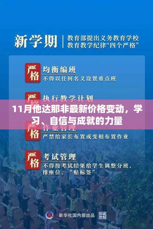 11月他达那非最新价格变动,学习、自信与成就的力量