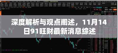 深度解析与观点阐述,11月14日91旺财最新消息综述