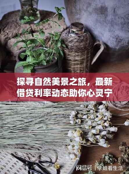 探寻自然美景之旅,最新借贷利率动态助你心灵宁静启程!