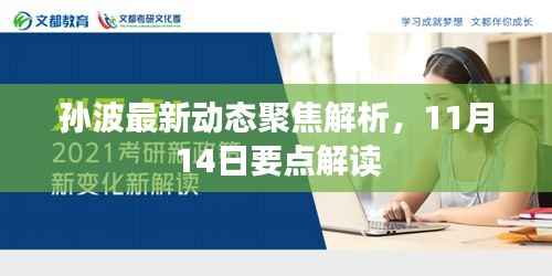 孙波最新动态聚焦解析，11月14日要点解读