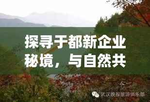 探寻于都新企业秘境,与自然共舞的心灵之旅启程