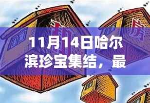 11月14日哈尔滨珍宝集结,最新拍卖信息详解