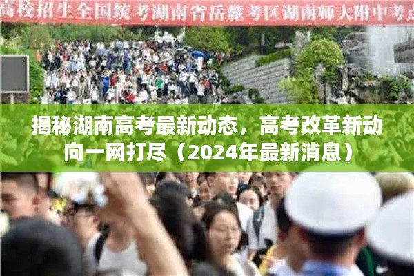 揭秘湖南高考最新动态,高考改革新动向一网打尽(2024年最新消息)