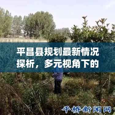 平昌县规划最新情况探析,多元视角下的探讨(往年11月14日动态)