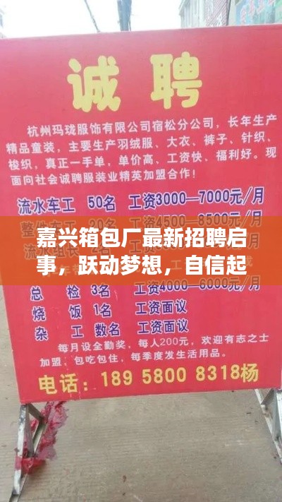 嘉兴箱包厂最新招聘启事,跃动梦想,自信起航,共赴成功之旅