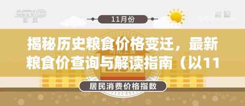 揭秘历史粮食价格变迁,最新粮食价查询与解读指南(以11月15日为例)