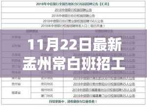孟州常白班招工信息全解析，应聘指南与初学者进阶攻略