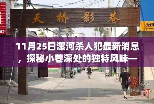 漯河杀人犯最新消息,小巷深处的意外发现与独特风味探索