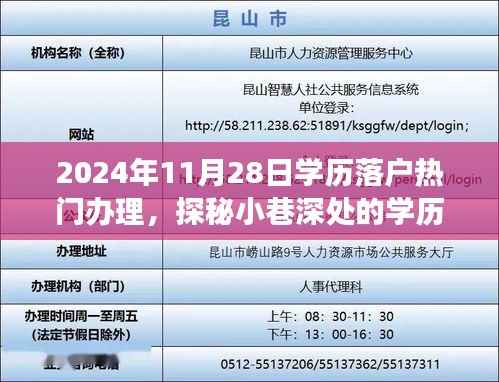 探秘学历落户宝藏,2024年11月28日热门办理之旅揭秘!