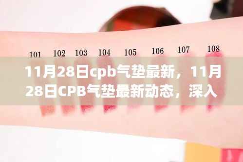 11月28日cpb气垫最新,11月28日CPB气垫最新动态,深入解析与观点阐述
