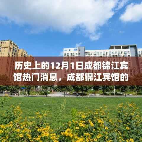 成都锦江宾馆,十二月一日的温馨记忆之旅与历史热门消息回顾
