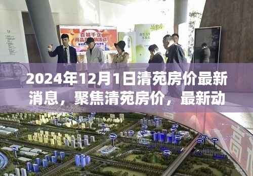 2024年清苑房价最新动态及未来展望,深度聚焦最新消息与趋势分析
