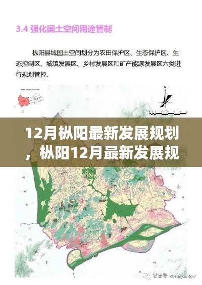深度解析与观点碰撞,枞阳12月最新发展规划详解