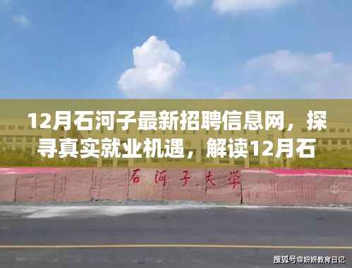 探寻真实就业机遇,解读石河子最新招聘信息网下的多元观点