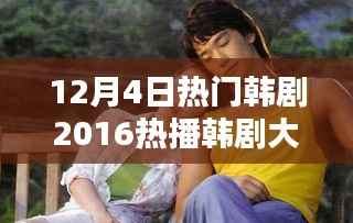 韩剧盛宴,以12月4日为中心,盘点年末热播韩剧概览