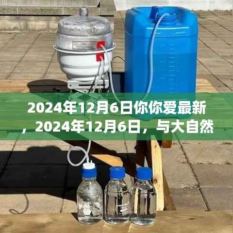 2024年12月6日你你爱最新,2024年12月6日,与大自然共舞,开启你的心灵之旅