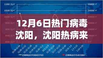 沈阳热病来袭,病毒变迁与成长的力量