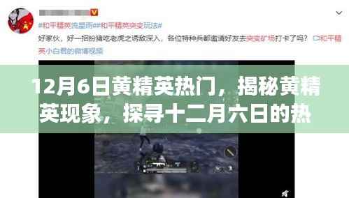 揭秘黄精英现象,十二月六日的热门魅力探寻