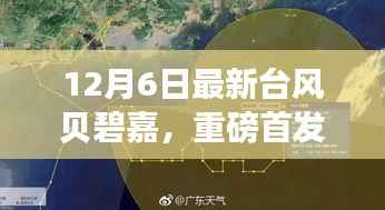 重磅首发!台风贝碧嘉的高科技魅力,革新功能引领时代,体验未来风暴的力量!
