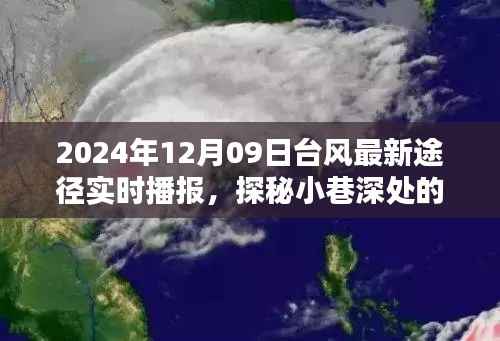 台风最新动态与小巷特色小店探秘,2024年12月09日实时播报