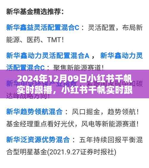 小红书千帆实时跟播体验评测报告,深度体验与报告分享(附日期)
