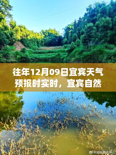 宜宾探索之旅,寻找宁静与和谐的自然美景天气预报实时播报
