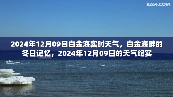 白金海畔冬日纪实,2024年12月09日的天气与记忆