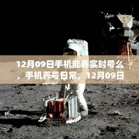 12月09日手机养号日常,实时号养成之旅