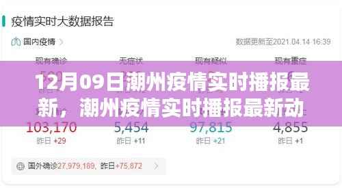 潮州疫情最新实时播报,深度分析与用户指南(12月09日更新)