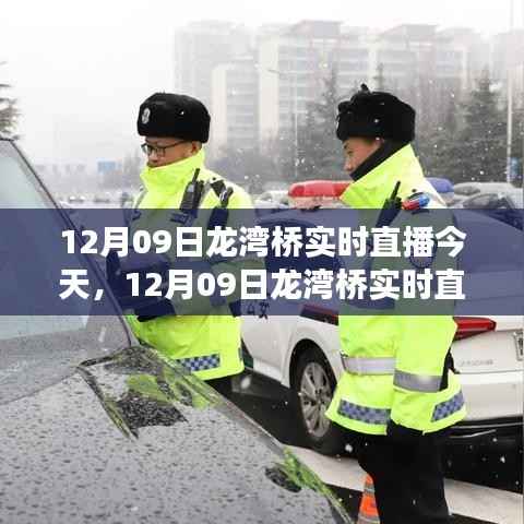 12月09日龙湾桥建设奇迹实时直播展现眼前