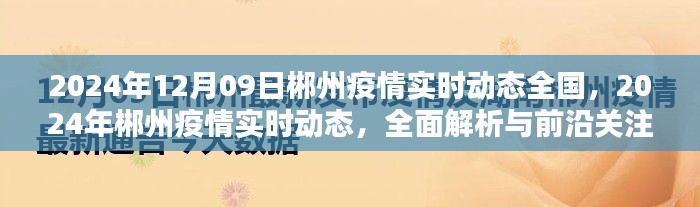 2024年郴州疫情实时动态全面解析与前沿关注