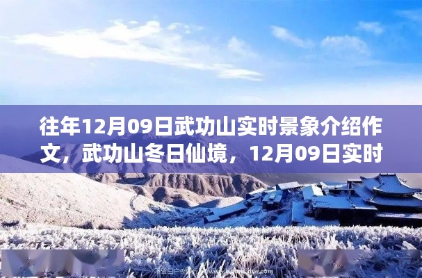 武功山冬日仙境,12月9日实时景象深度解析与介绍作文