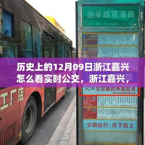 浙江嘉兴智能公交新时代，实时掌握出行，探寻公交实时动态