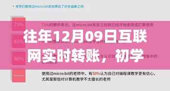 往年12月09日互联网实时转账攻略,初学者与进阶用户的全方位指南