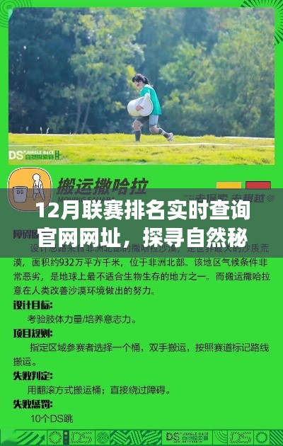 探寻自然秘境,联赛排名背后的心灵之旅实时查询官网网址(12月版)
