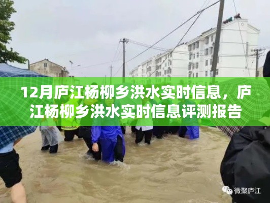 庐江杨柳乡洪水实时信息及评测报告更新