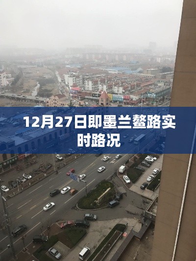 项目介绍 第315页