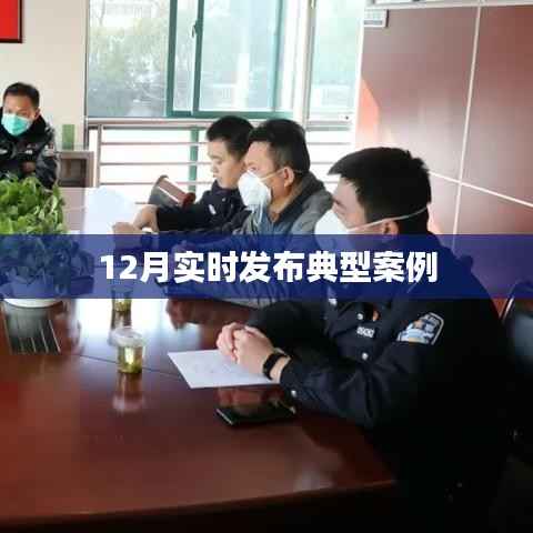 12月典型案例实时更新发布