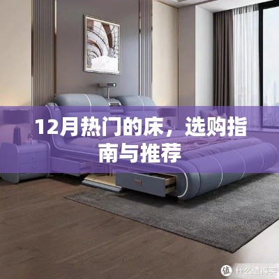 冬季热门床品选购指南与推荐