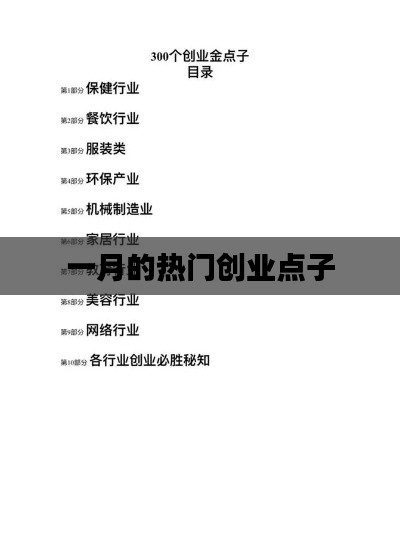 一月热门创业点子解析